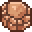 Grid Skull Fossil.png