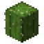 Grid Cactus.png