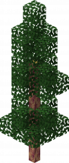 Gym Dragon Tree B.png