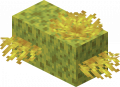 Thumbnail for version as of 04:38, 22 May 2024