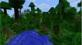 Jungle Biome