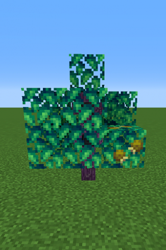 Maranga Berry Tree.png