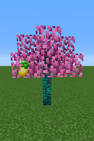 Shuca Berry Tree.png