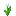 Grid White Tulip.png