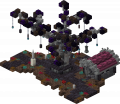 Thumbnail for version as of 08:18, 23 May 2024