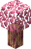 Gym Fairy Tree D.png