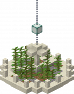 Gym Water Kelp Farm A.png