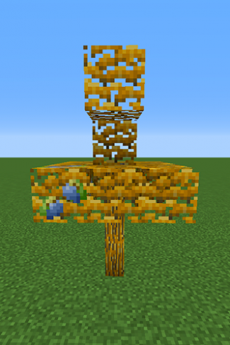 Apicot Berry Tree.png