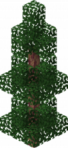 Gym Dragon Tree A.png