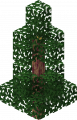 Thumbnail for version as of 05:24, 22 May 2024