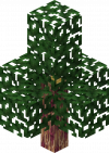 Gym Dragon Tree D.png