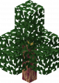 Thumbnail for version as of 05:19, 22 May 2024
