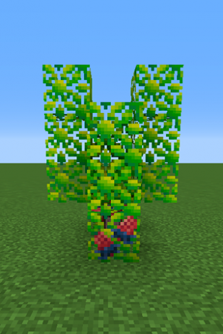 Roseli Berry Tree.png