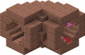 Thumbnail for version as of 12:45, 25 May 2024