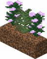 Thumbnail for version as of 04:36, 22 May 2024