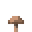 Brown Mushroom