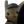 Unsettledpikachu.png