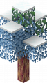 Thumbnail for version as of 07:01, 13 May 2024