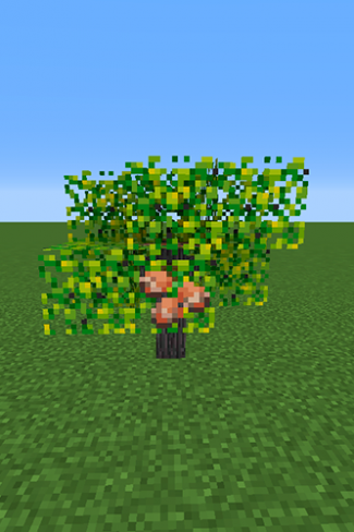 Kee Berry Tree.png